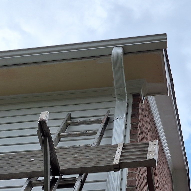 Repair-Fascia-Monroy-Remodeling